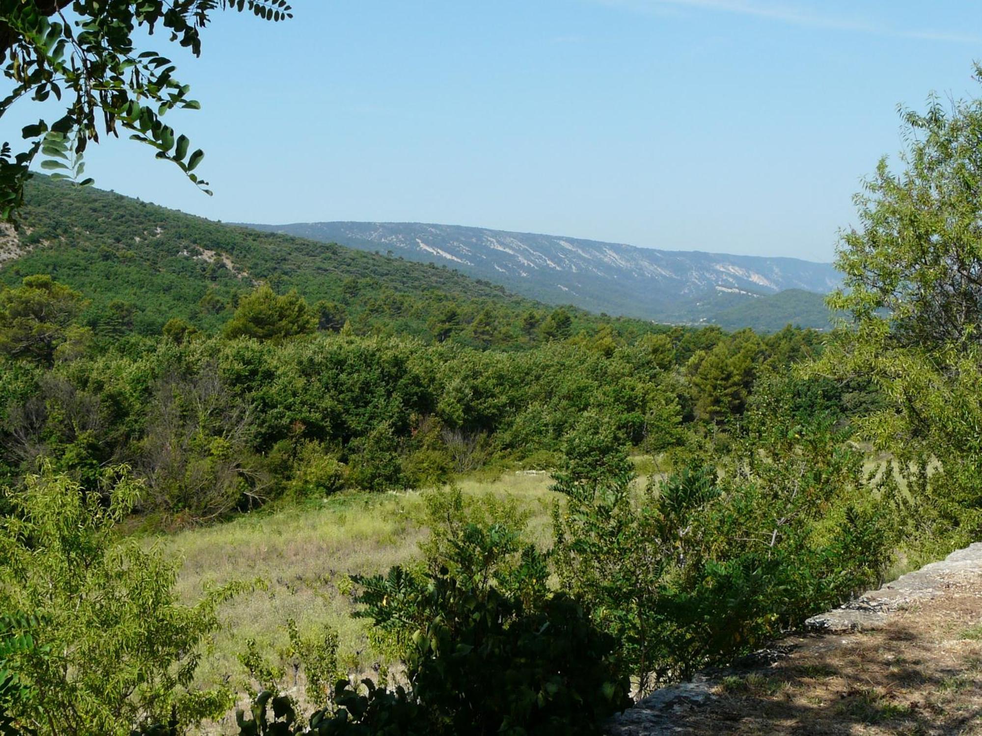 Joli Mas Provençal du 19ème siècle avec grande piscine privée, situé au calme, en campagne de Lacoste, au cœur du Luberon, 6 personnes, LS2-239 Amanto Lacoste  Esterno foto