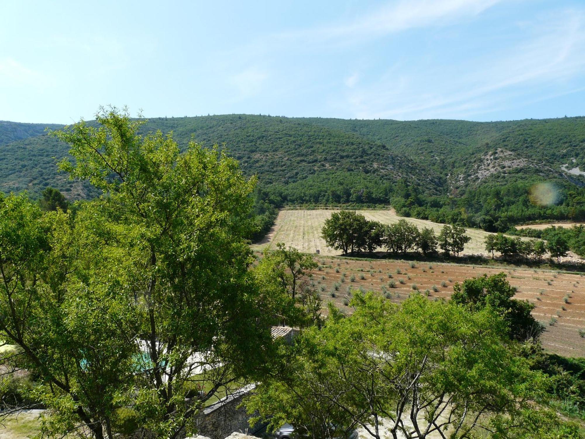 Joli Mas Provençal du 19ème siècle avec grande piscine privée, situé au calme, en campagne de Lacoste, au cœur du Luberon, 6 personnes, LS2-239 Amanto Lacoste  Esterno foto