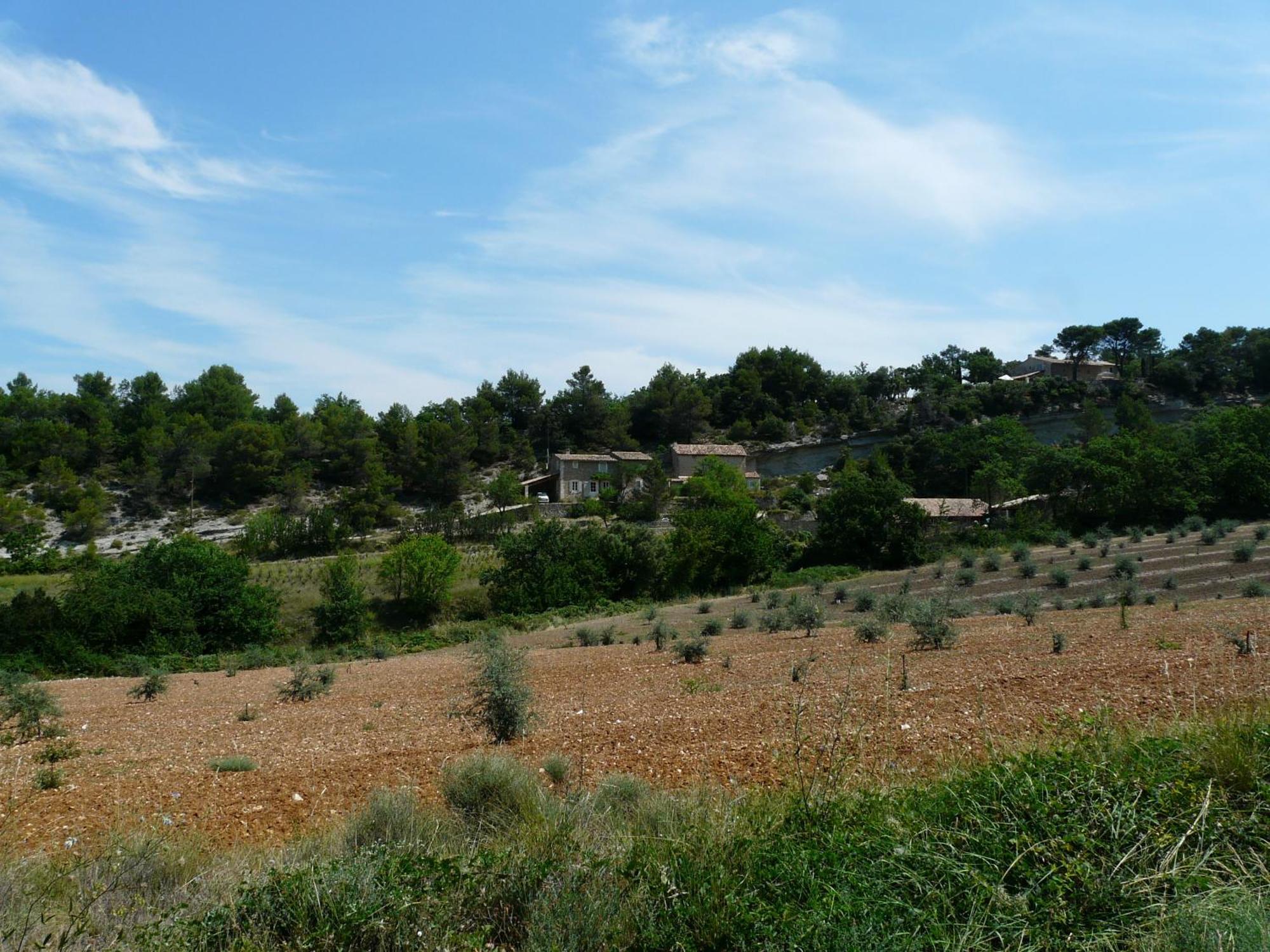 Joli Mas Provençal du 19ème siècle avec grande piscine privée, situé au calme, en campagne de Lacoste, au cœur du Luberon, 6 personnes, LS2-239 Amanto Lacoste  Esterno foto